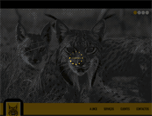 Tablet Screenshot of lince-ao.com